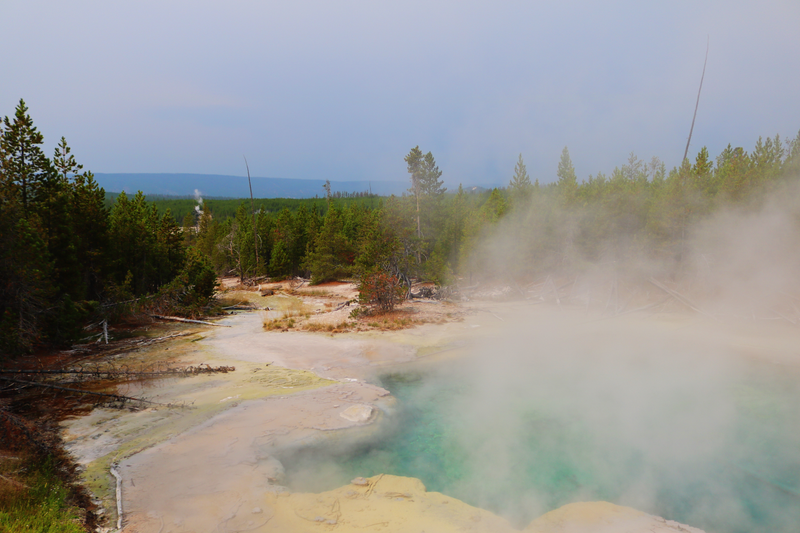 Illustration for article titled Photodump: Yellowstone National Park
